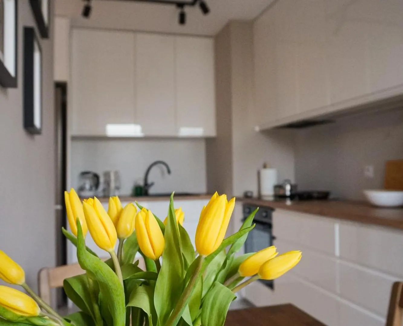 Struga Modern Apartment - Blisko Centrum Gdansk